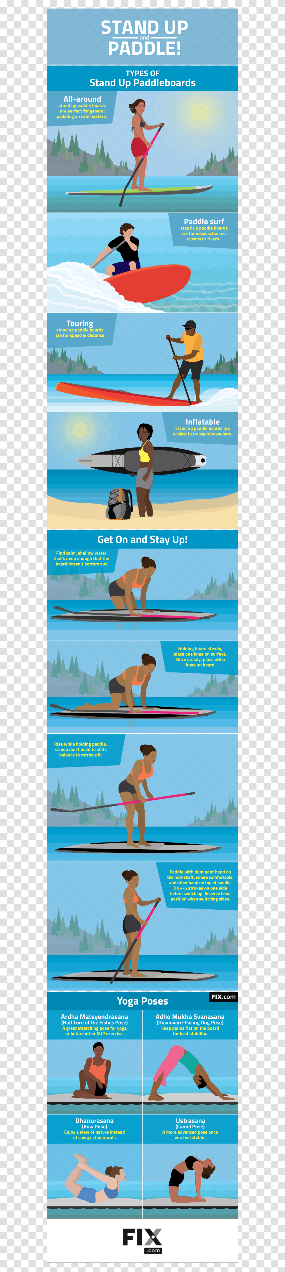 Stand Up Paddle Infographics, Person, Word, Working Out, Sport Transparent Png