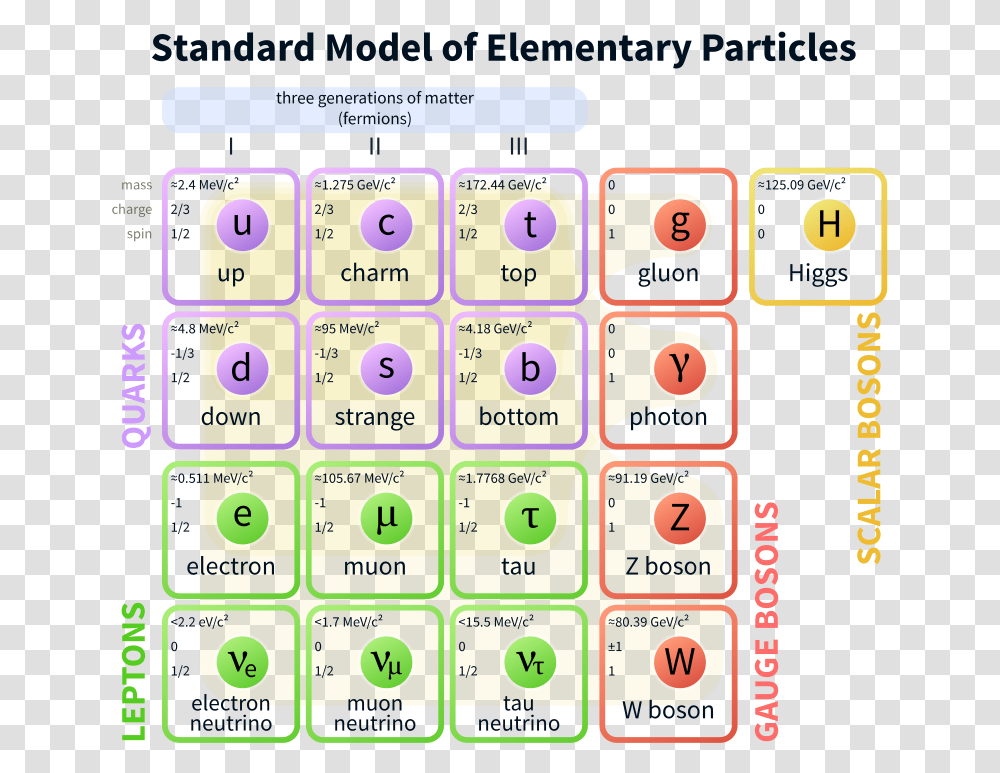 Standard Model Of Elementary Particles, Word, Electronics, Plant Transparent Png