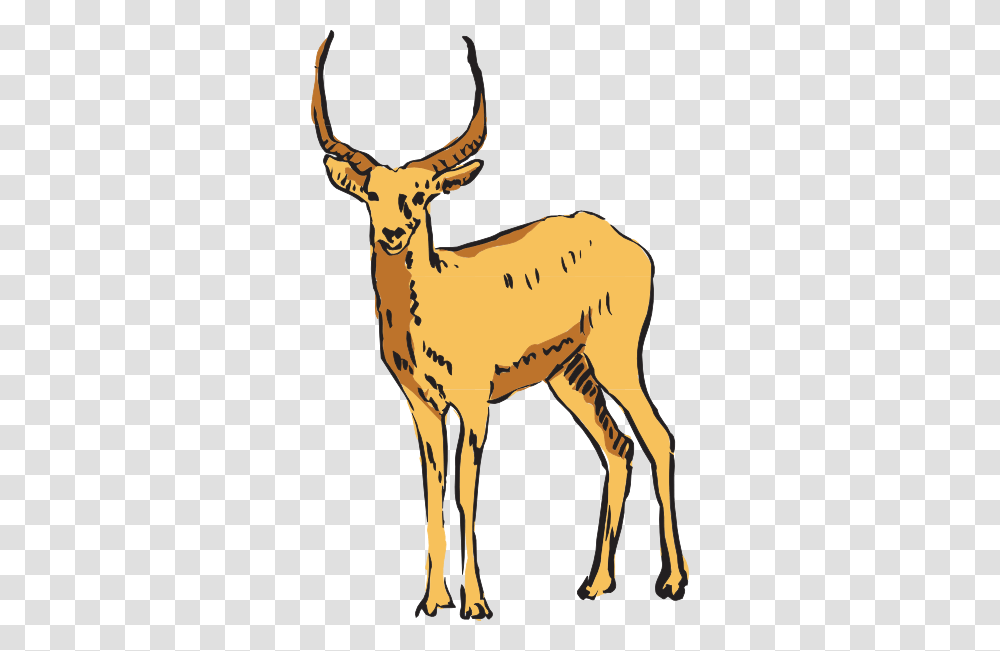 Standing Antelope Drawing Clip Art, Deer, Wildlife, Mammal, Animal Transparent Png