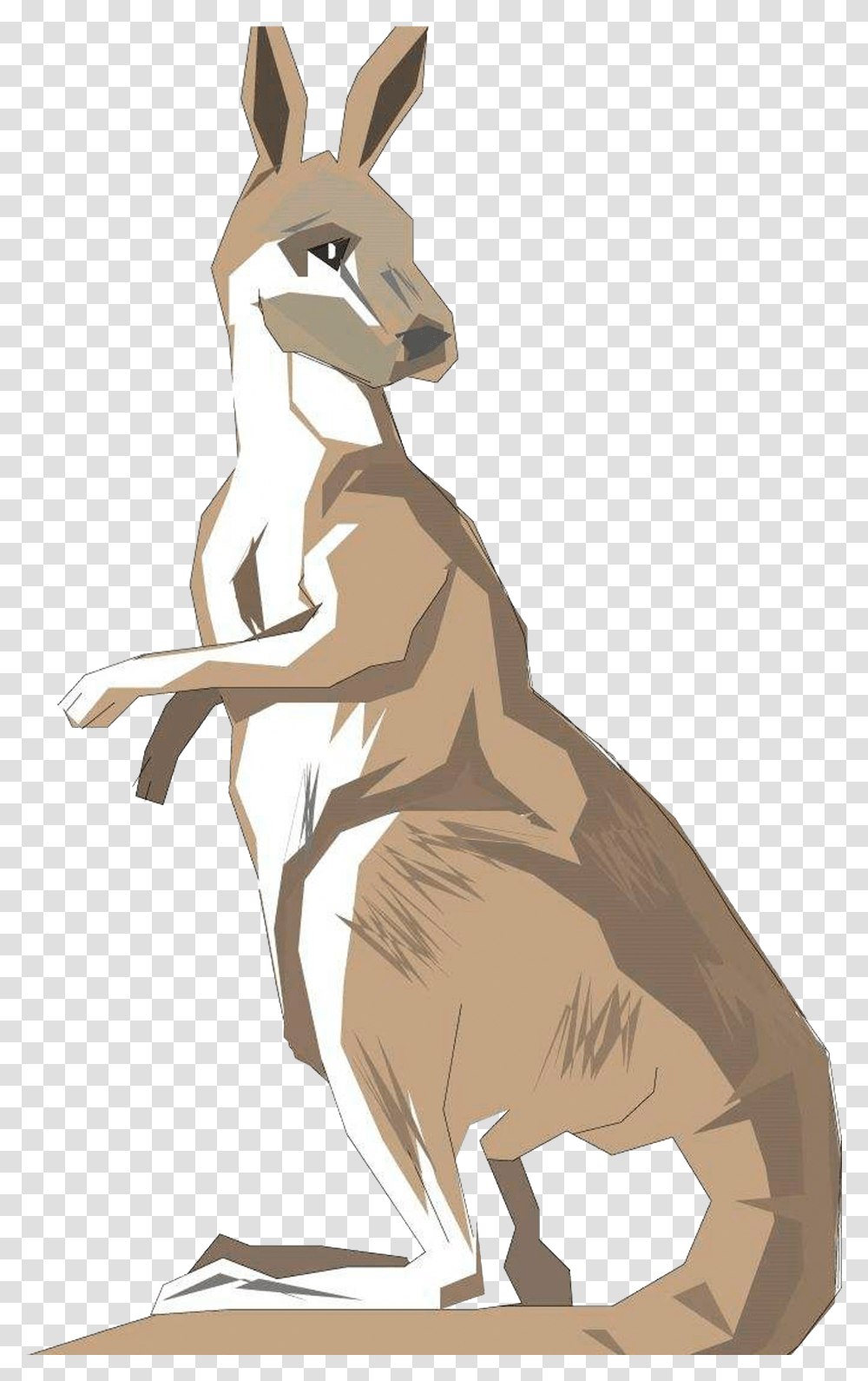 Standing Australia Kangaroo Back To See Drawing Clipart, Mammal, Animal, Wallaby Transparent Png