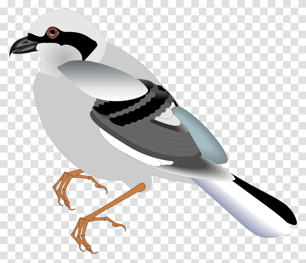 Standing Bird Svg Vector Clip Art Svg Clipart Desenho Passaros, Animal, Beak, Finch, Seagull Transparent Png