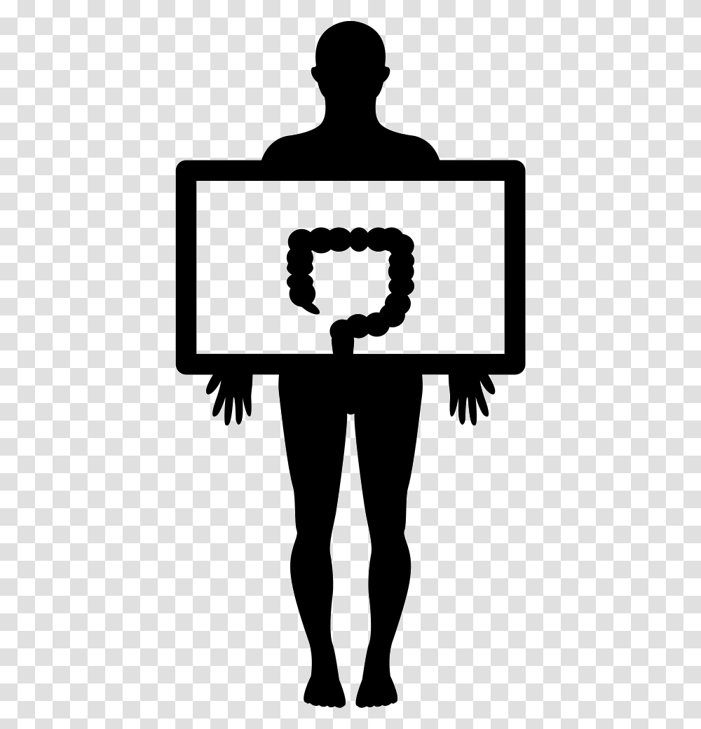 Standing Man Holding A Large Intestines Image Icon Free, Stencil, Silhouette, Hand, Person Transparent Png