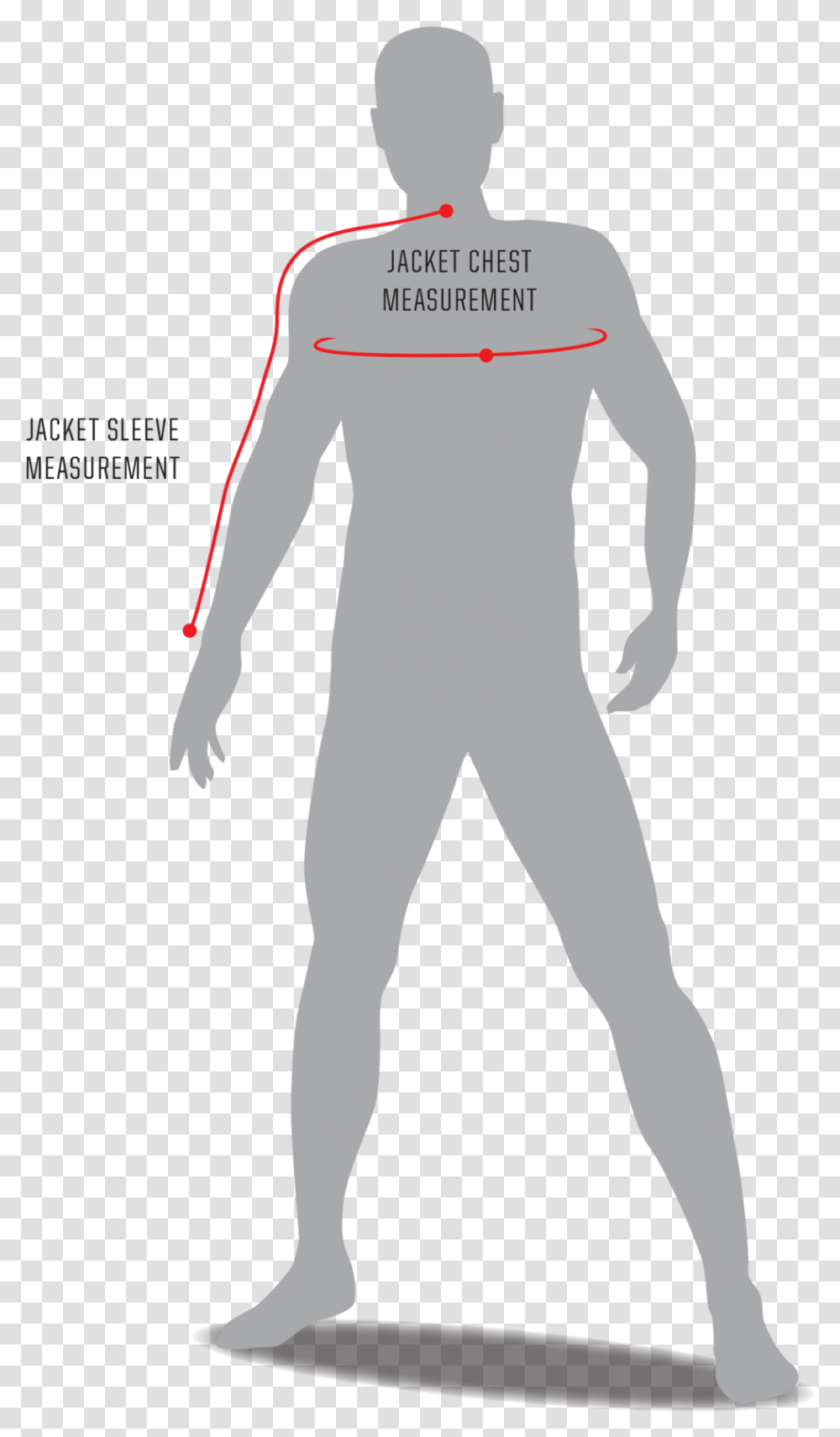 Standing, Person, People, Plot Transparent Png