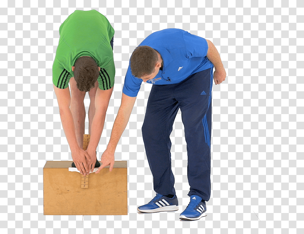 Standing Toe Touch Test, Person, Human, Wood, Plywood Transparent Png