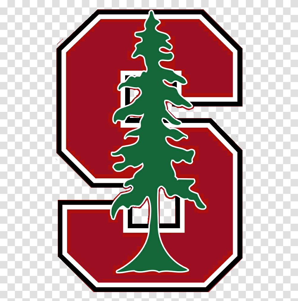 Stanford Logo, Tree, Plant, Ornament, Christmas Tree Transparent Png