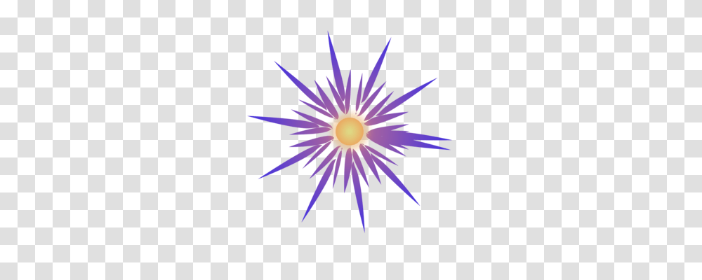 Star Drawing Computer Icons, Flare, Light, Nature, Outdoors Transparent Png