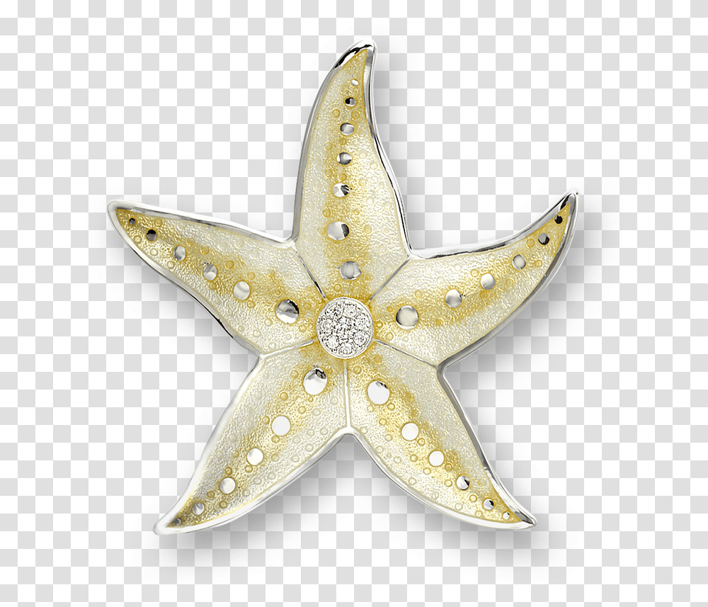 Star Fish Paperweight, Axe, Tool, Sea Life, Animal Transparent Png