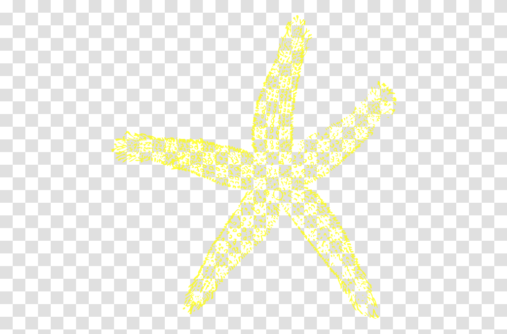 Star Fish, Star Symbol, Cross, Animal, Sea Life Transparent Png