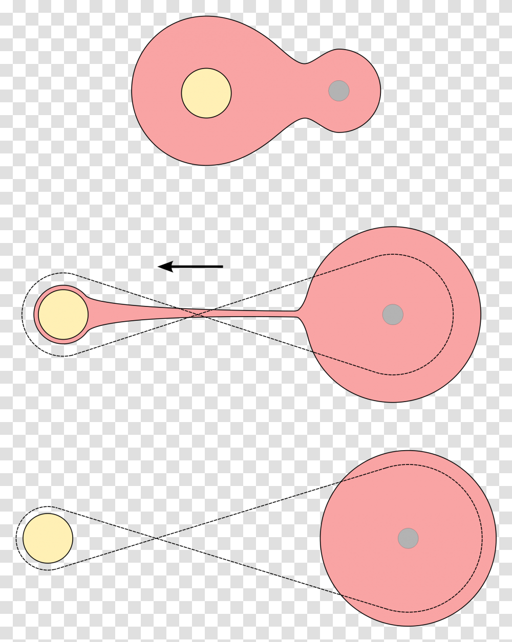 Star Fission Common Envelope Fission Hypothesis Binary Star, Spoon, Cutlery, Game, Darts Transparent Png