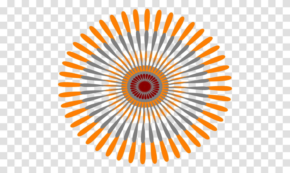 Star Flower Orange Svg Clip Arts 25 Seconds Timer, Pattern, Bird, Animal Transparent Png