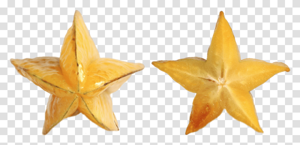 Star Fruit Collections Converse Miley Cyrus Wmns, Leaf, Plant, Peel, Animal Transparent Png