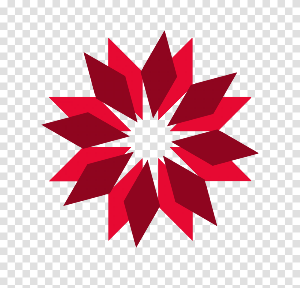 Star Logo Icon Background Image Download, Petal, Flower, Plant, Blossom Transparent Png