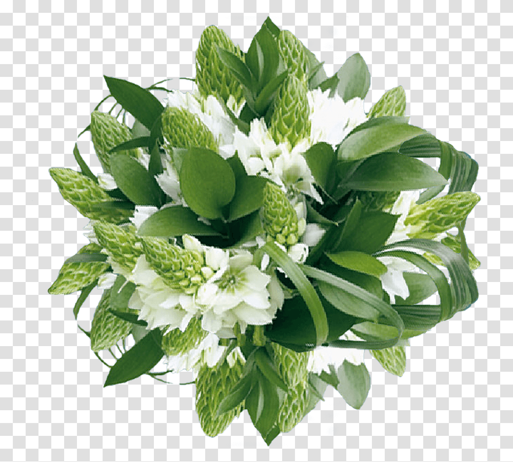 Star Of Bethlehem Flower Bouquet, Floral Design, Pattern Transparent Png