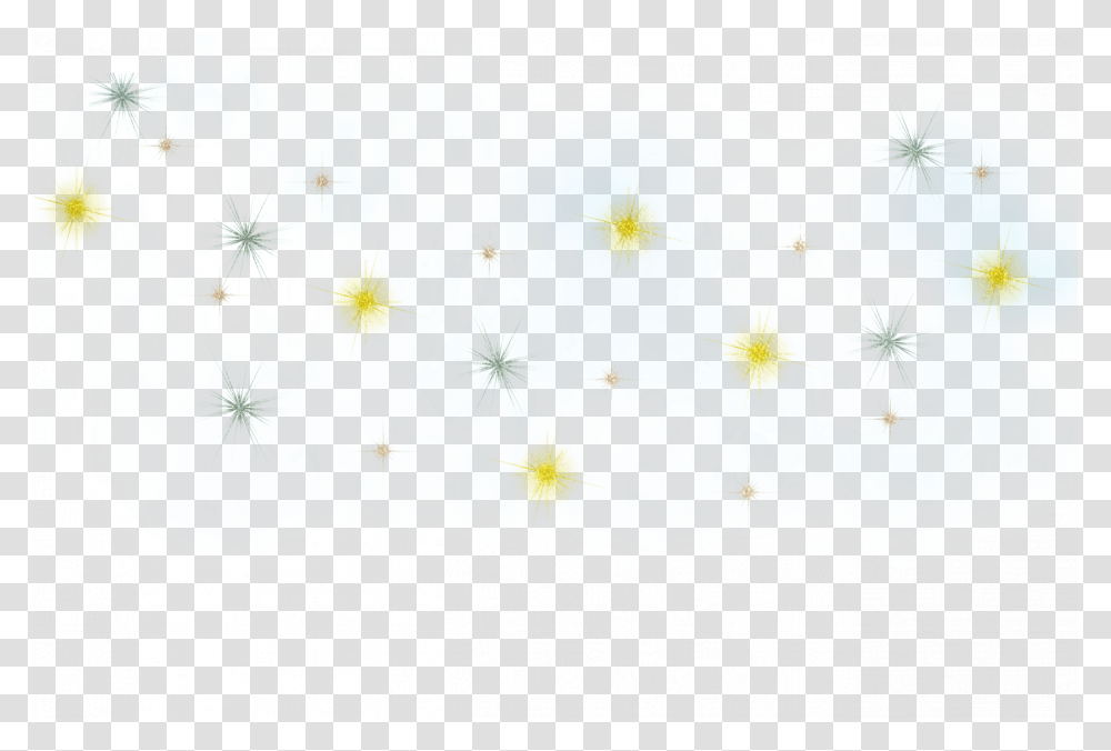 Star, Sea, Outdoors, Water, Nature Transparent Png