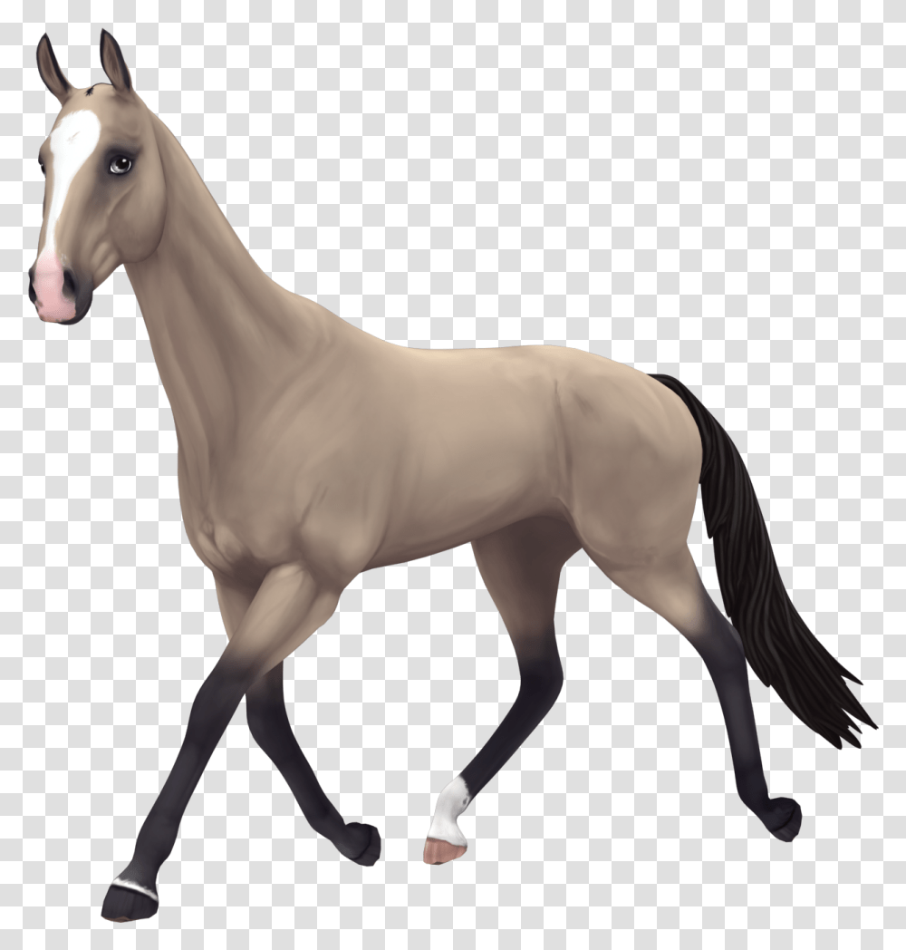 Star Stable Akhal Teke Buttermilk Buckskin, Horse, Mammal, Animal, Foal Transparent Png