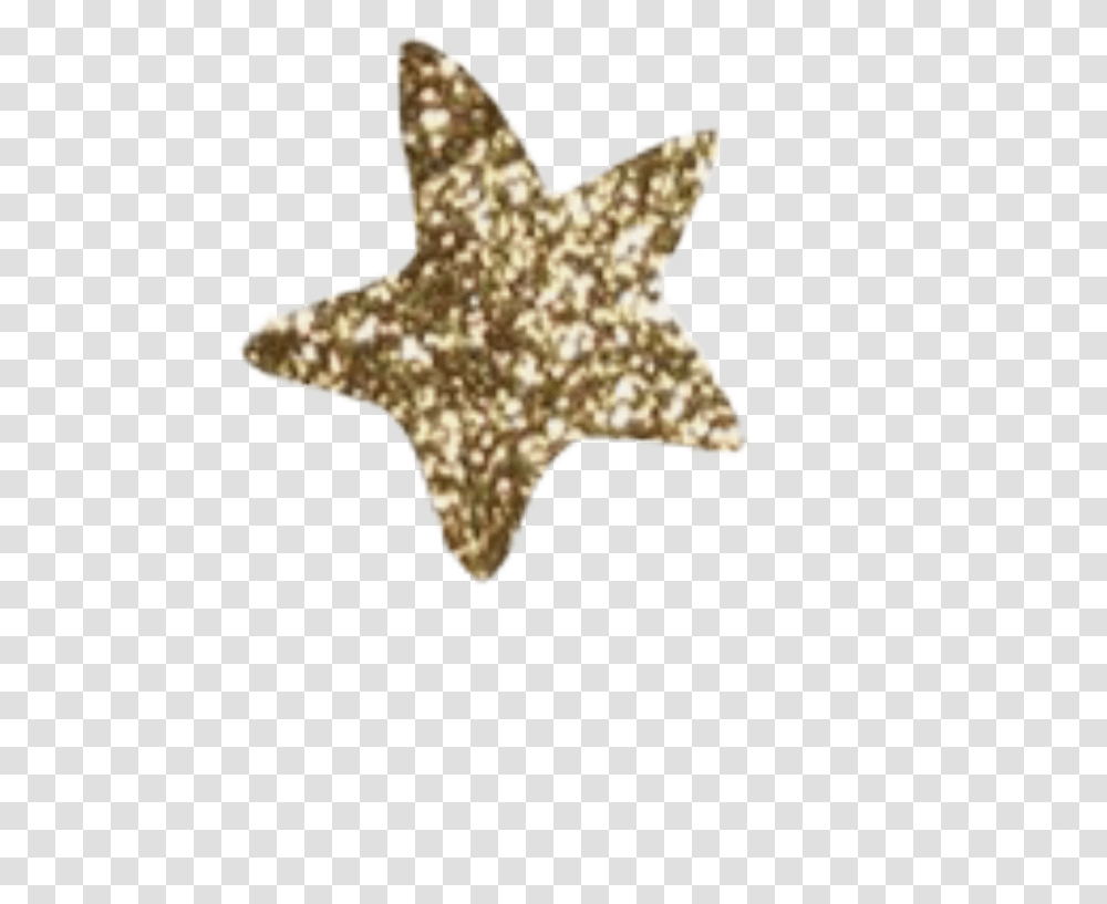 Star Stars Gold Glitter Sticker Edit Goldglitter Marine Invertebrates, Star Symbol, Fungus Transparent Png