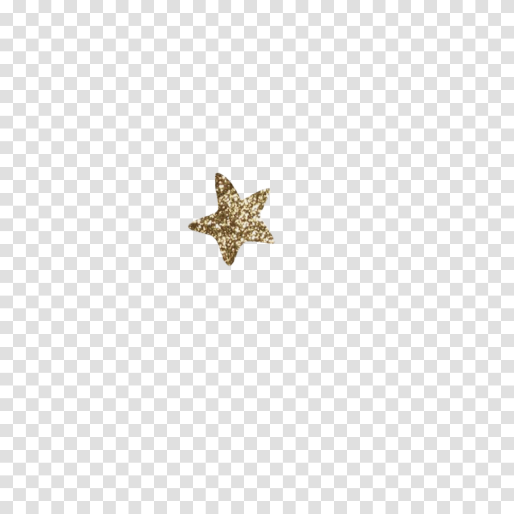 Star Stars Gold Glitter Sticker Edit Marine Invertebrates, Symbol, Star Symbol Transparent Png