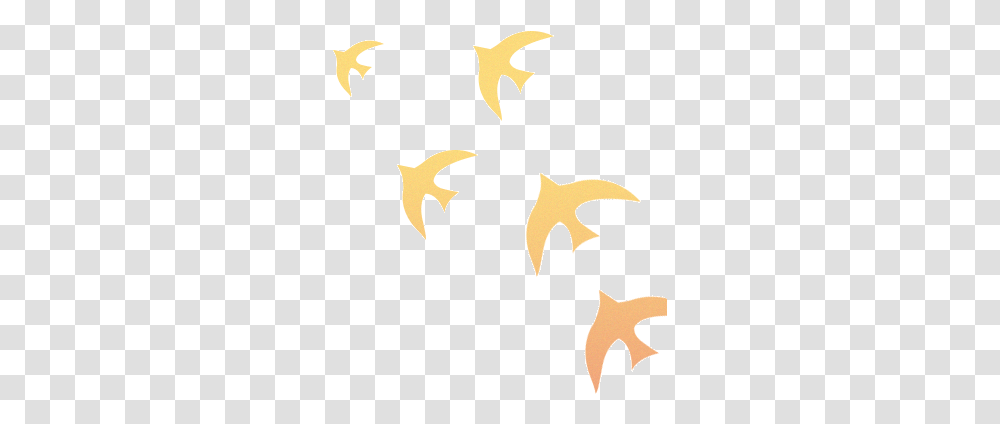 Star, Batman Logo, Leaf, Plant Transparent Png