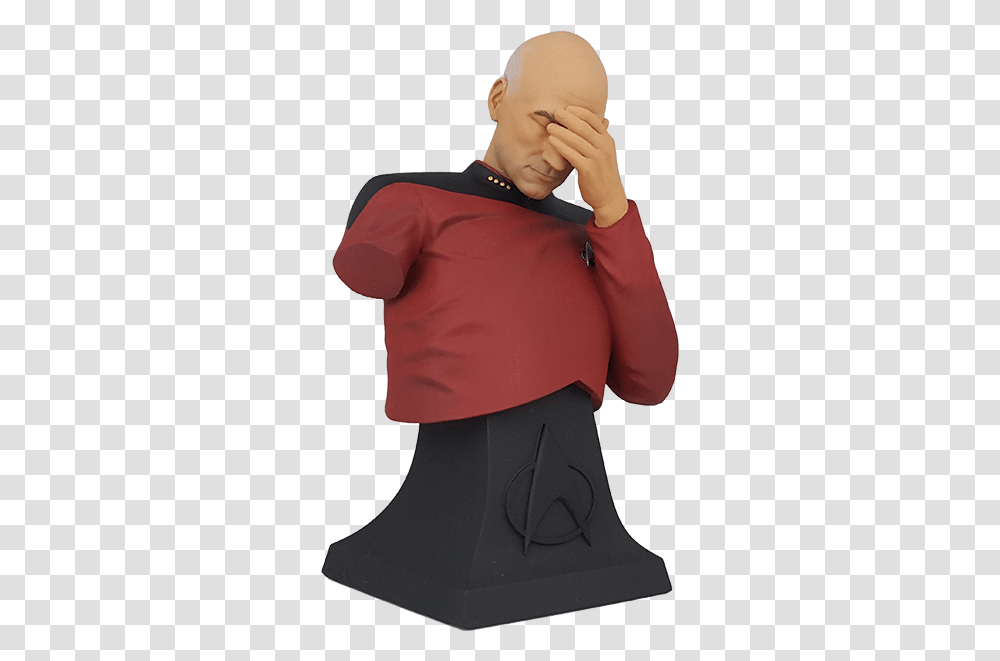 Star Trek The Next Generation Captain Hair Loss, Clothing, Person, Sleeve, Shirt Transparent Png