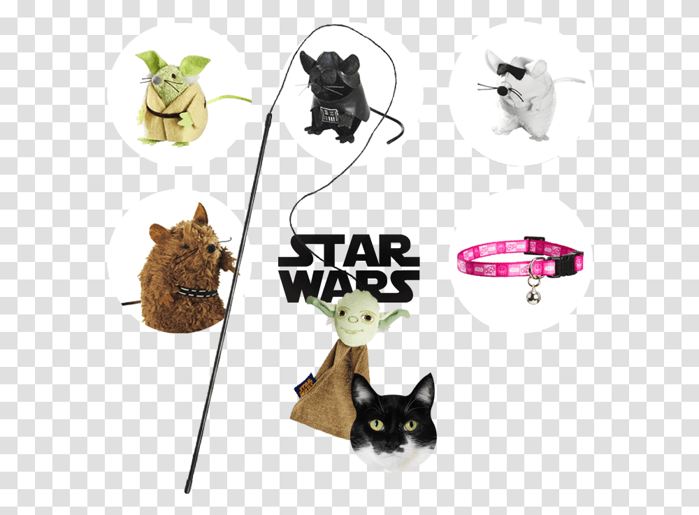 Star Wars, Animal, Cat, Pet, Mammal Transparent Png