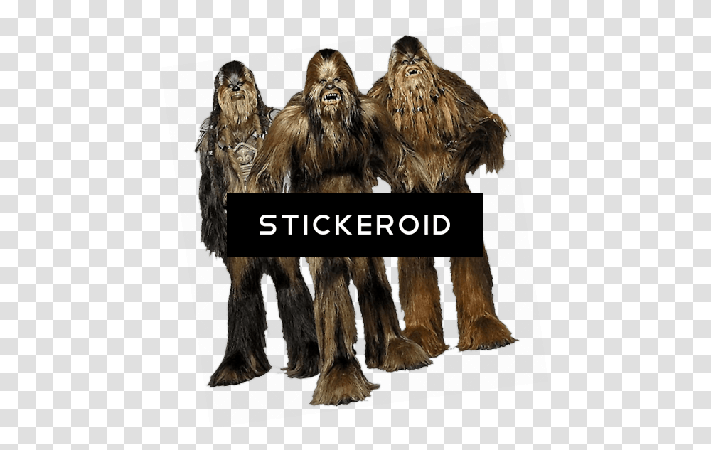 Star Wars Buki Star Wars, Ape, Wildlife, Mammal, Animal Transparent Png