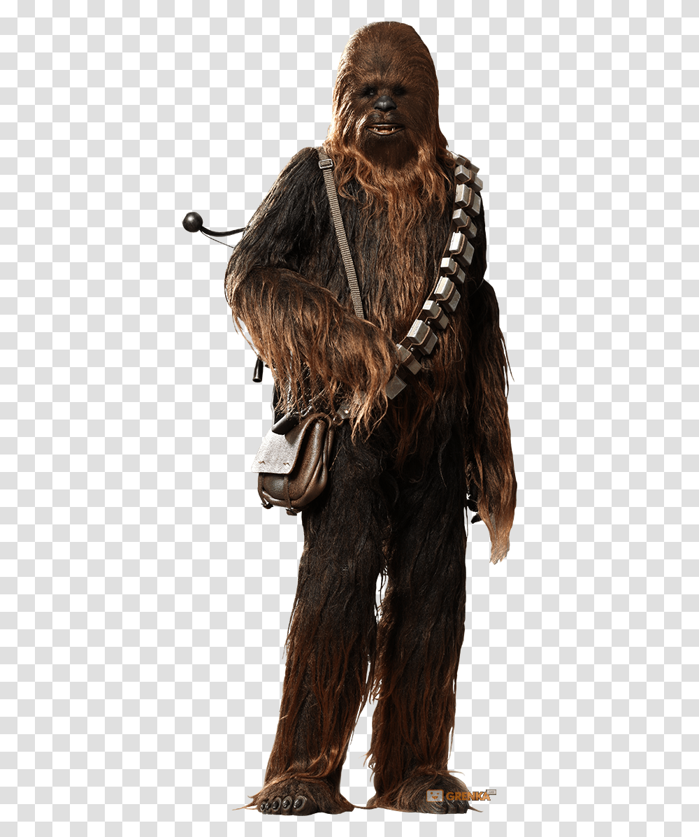 Star Wars Chewbacca, Hair, Person, Accessories Transparent Png