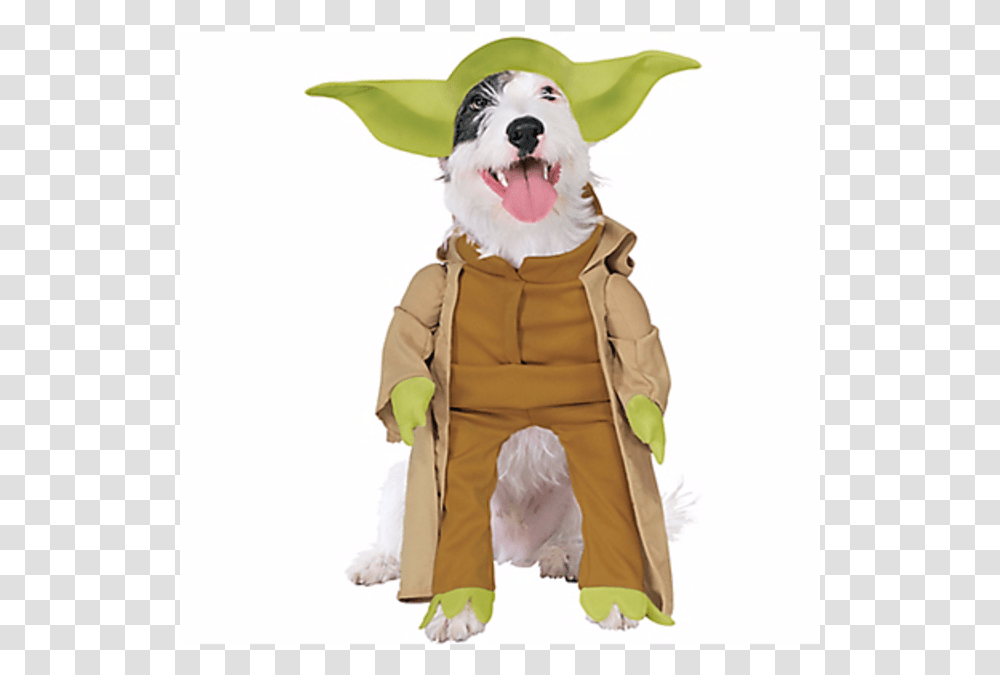 Star Wars Costumes, Coat, Plant, Overcoat Transparent Png