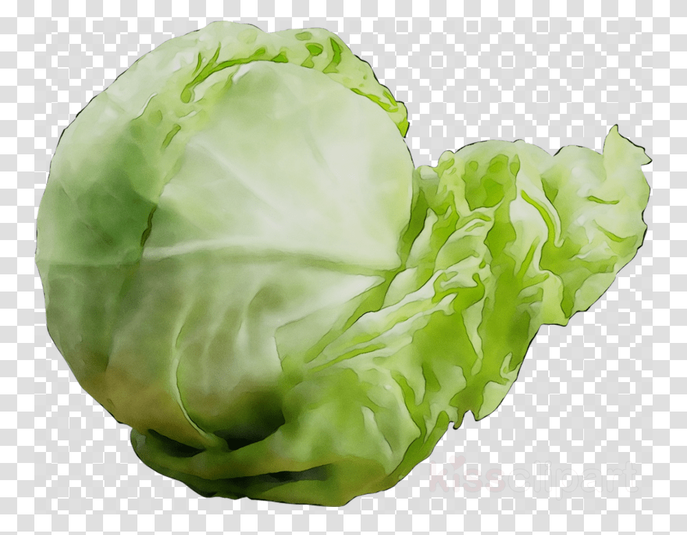 Star Wars Death Star, Plant, Vegetable, Food, Cabbage Transparent Png