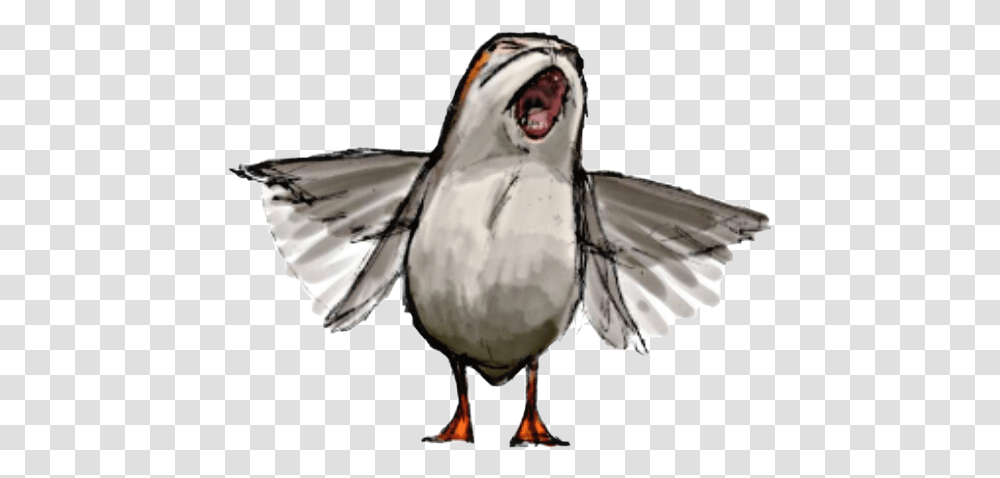 Star Wars Porg Drawing Star Wars Skellig Michael Puffins, Bird, Animal, Penguin, Flying Transparent Png