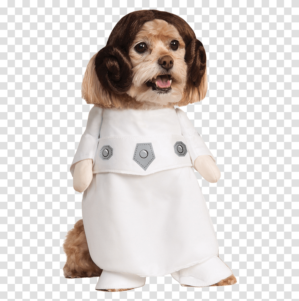 Star Wars Princess Leia Dog Costume, Person, Canine, Mammal Transparent Png