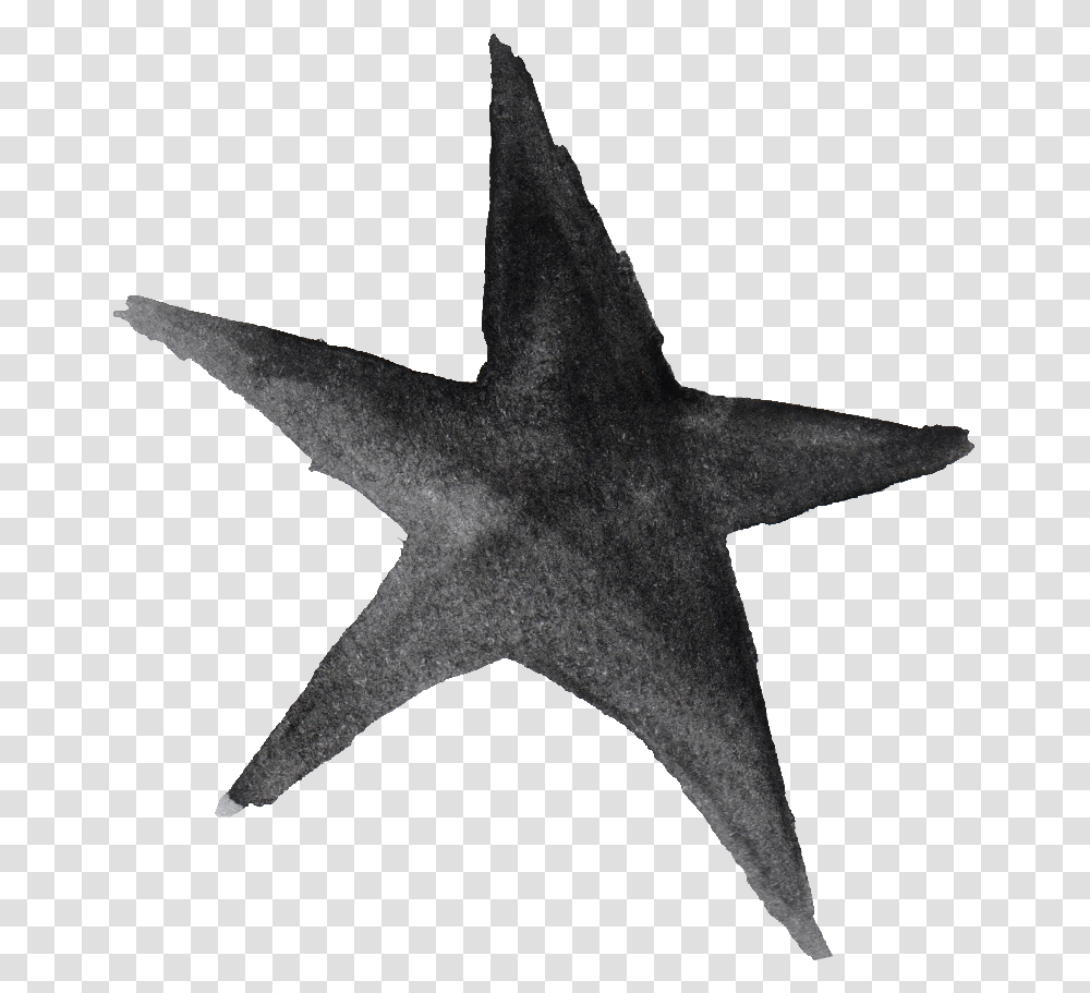Star Watercolor, Cross, Star Symbol, Animal Transparent Png