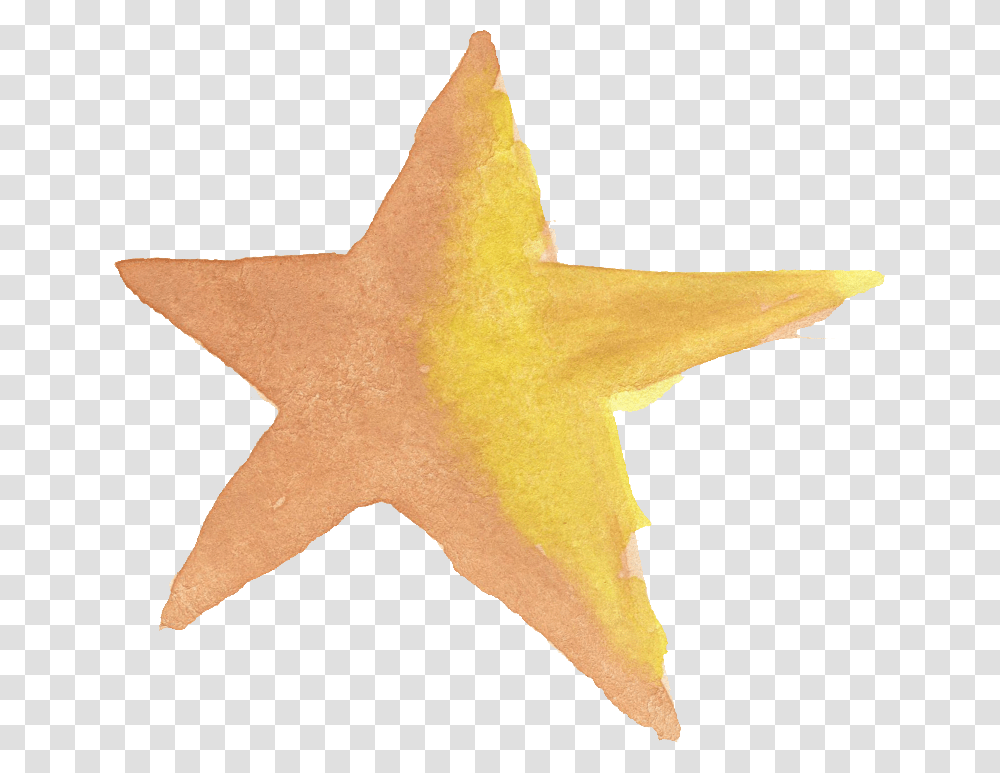 Star Watercolor, Sweets, Food, Confectionery, Animal Transparent Png