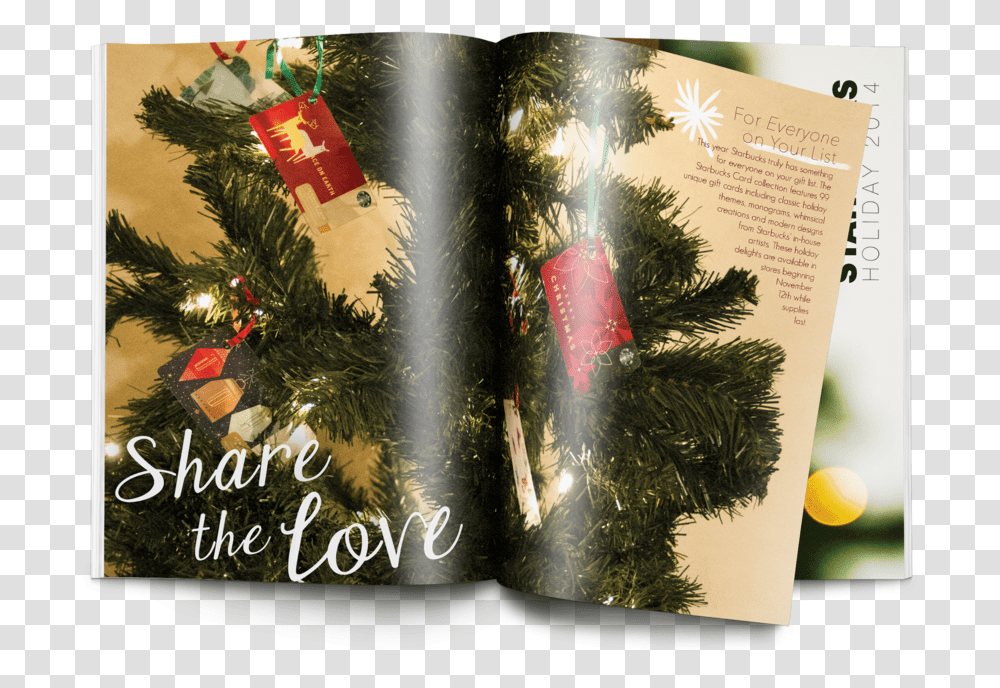 Starbucks Gift Card Christmas Tree, Plant, Ornament, Pine, Fir Transparent Png