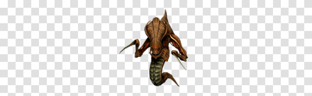 Starcraft, Game, Animal, Insect, Invertebrate Transparent Png