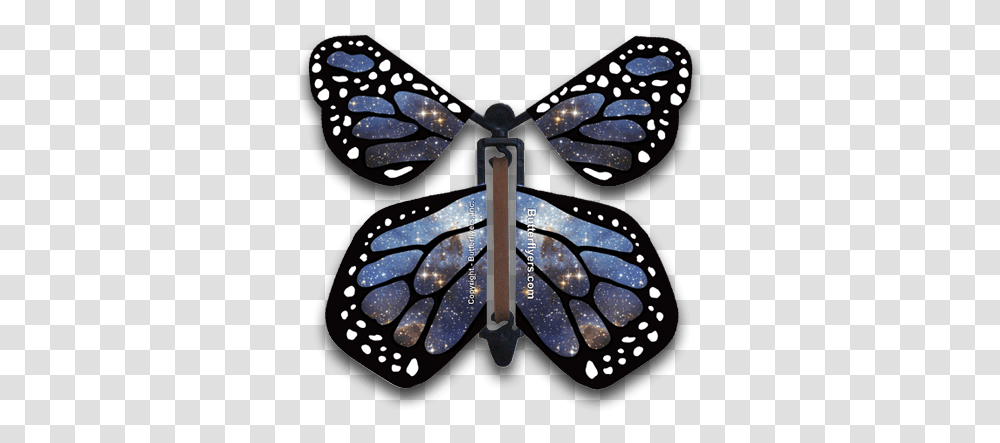 Stardust Flying Butterfly Stars In Space, Wristwatch, Animal, Invertebrate, Insect Transparent Png