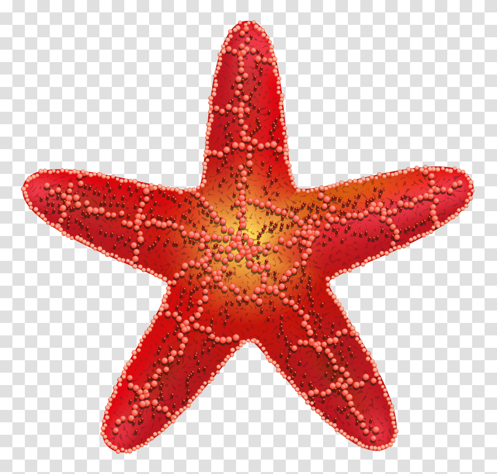 Starfish, Animals Transparent Png