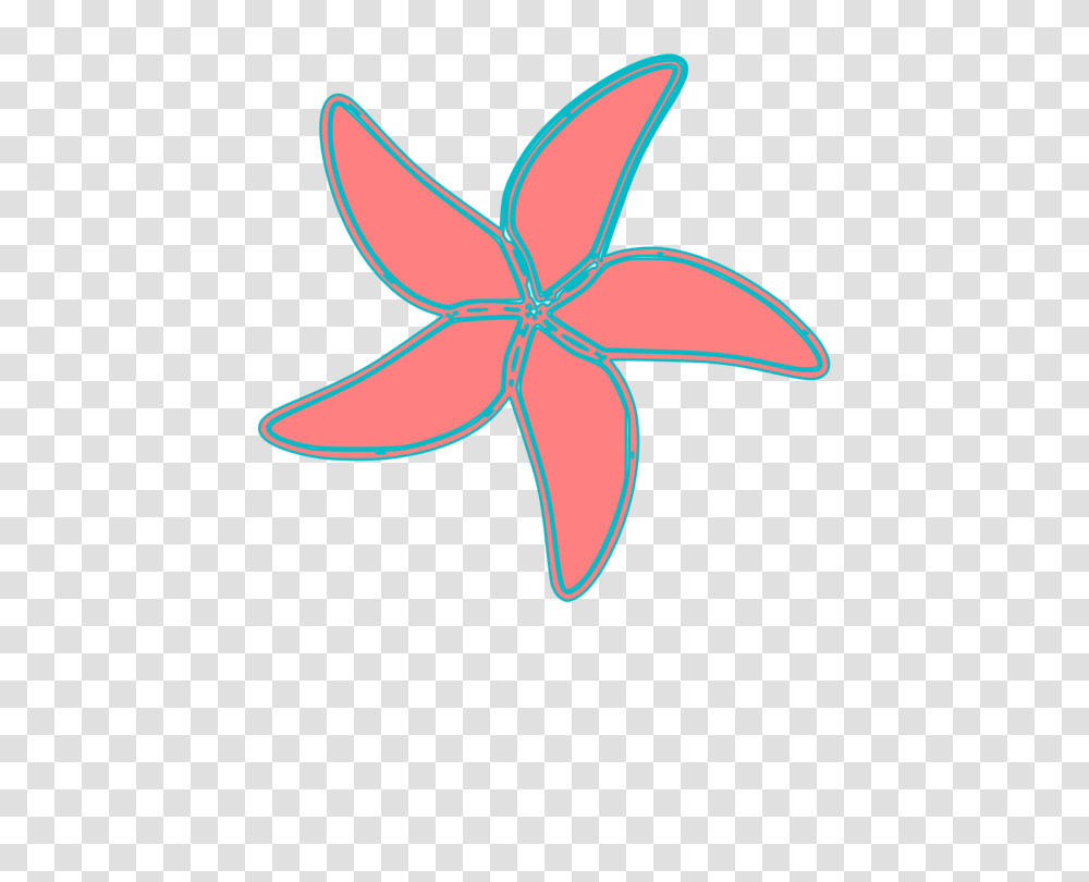 Starfish Art Forms In Nature Computer Icons Drawing Download Free, Leaf, Plant, Flower, Blossom Transparent Png