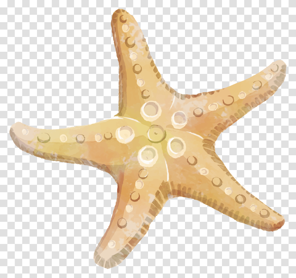 Starfish Background Star Fish Clip Art Free, Axe, Tool, Sea Life, Animal Transparent Png