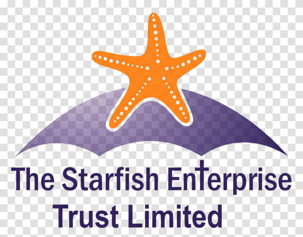 Starfish Basingstoke Starfish, Sea Life, Animal, Invertebrate Transparent Png
