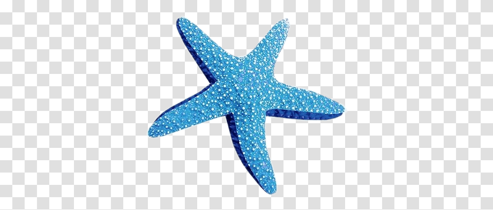 Starfish Blue Bluepng Bluepngs Blue Starfish, Sea Life, Animal, Invertebrate, Axe Transparent Png