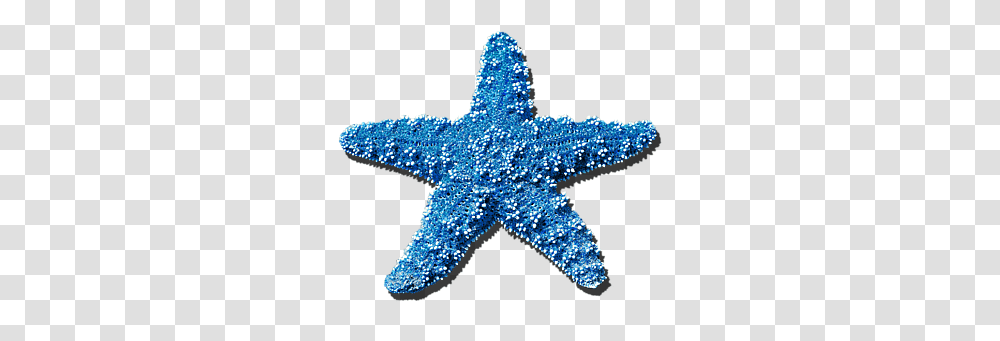 Starfish Blue Sea Star, Animal, Sea Life, Invertebrate, Light Transparent Png