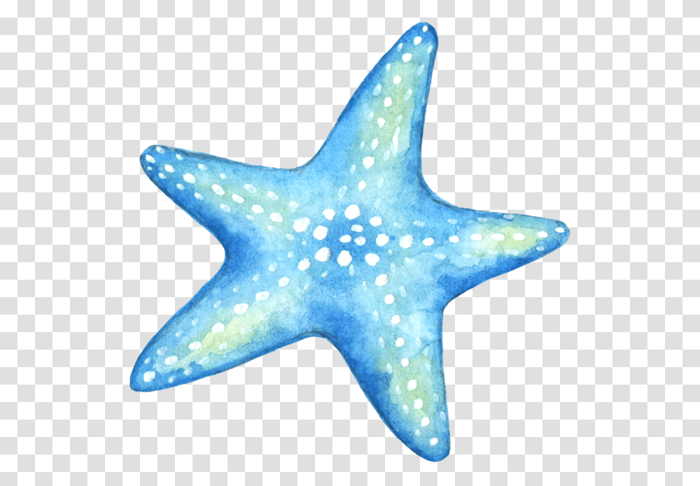 Starfish Blue Star Stickers Sticker Logo, Invertebrate, Sea Life, Animal, Shark Transparent Png