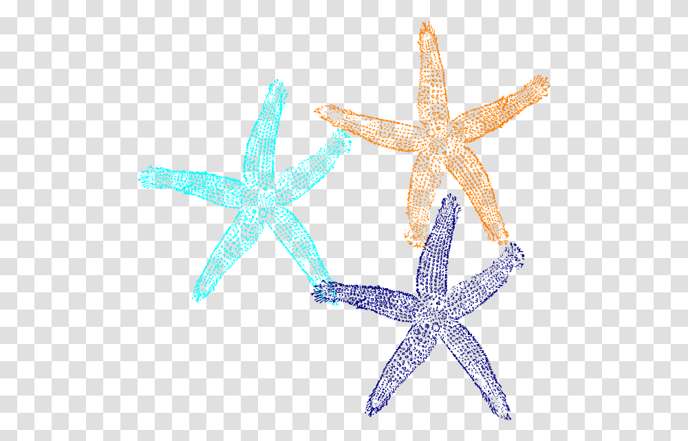 Starfish Clip Art Dark Blue Star Fish, Invertebrate, Sea Life, Animal, Star Symbol Transparent Png