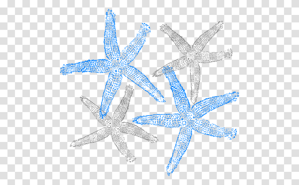 Starfish Clip Art, Invertebrate, Sea Life, Animal, Star Symbol Transparent Png