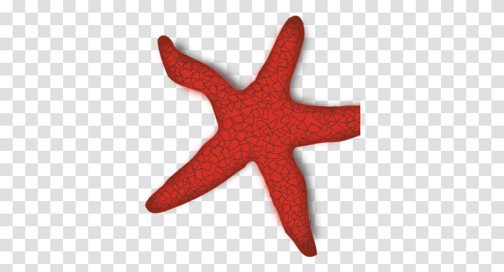 Starfish Clip Art Starfish Clip Art, Sea Life, Animal, Invertebrate Transparent Png