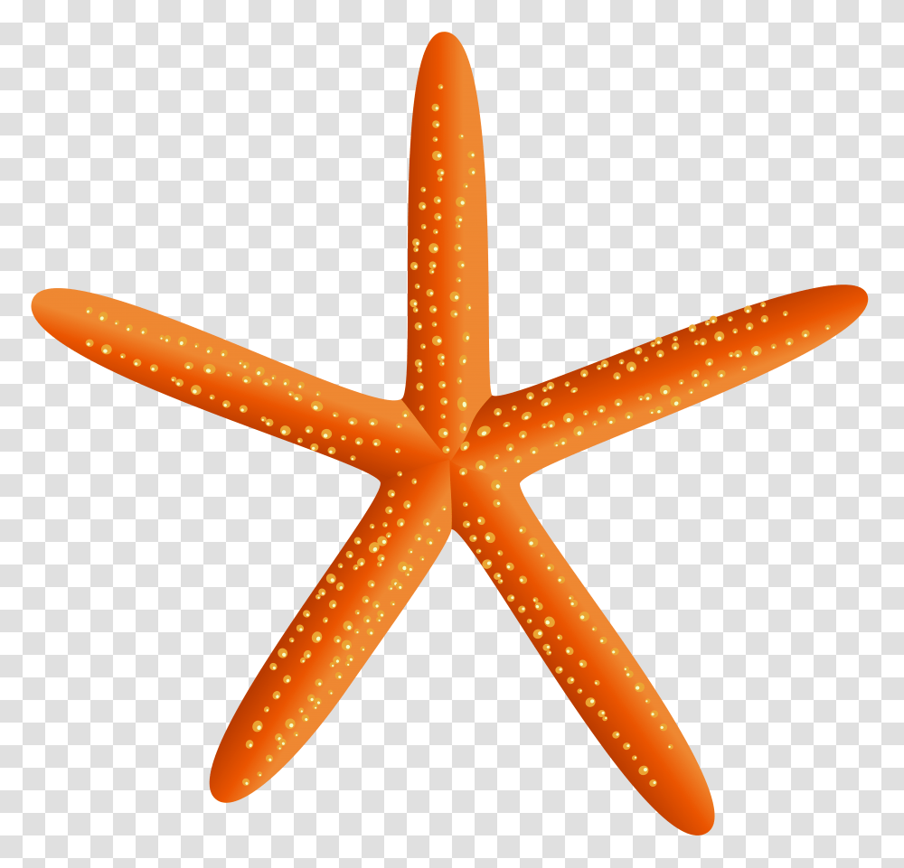 Starfish Clip Art, Star Symbol, Lighting, Logo Transparent Png