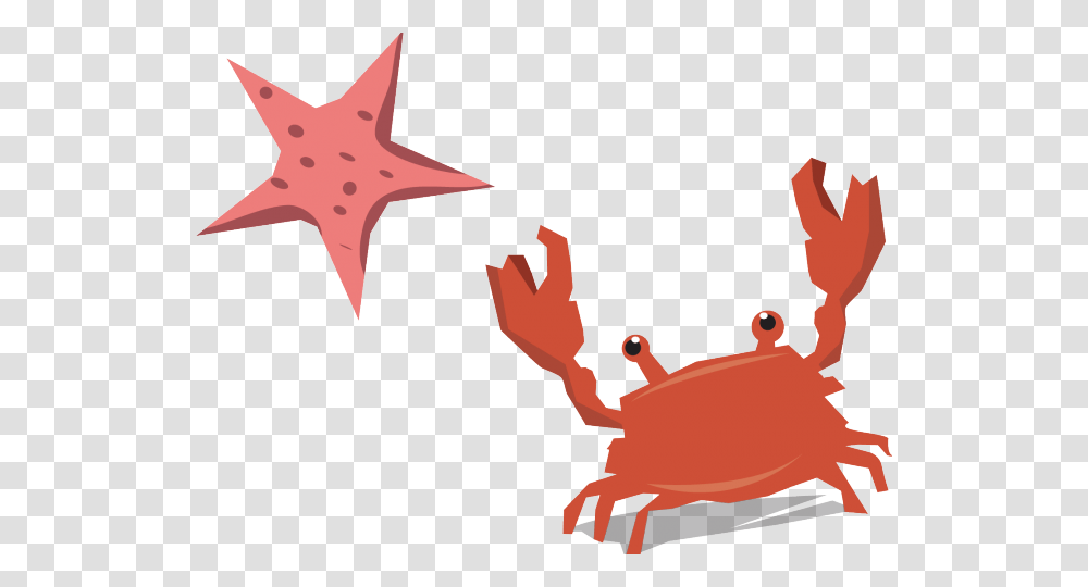 Starfish Clipart Crab, Sea Life, Animal, Seafood Transparent Png