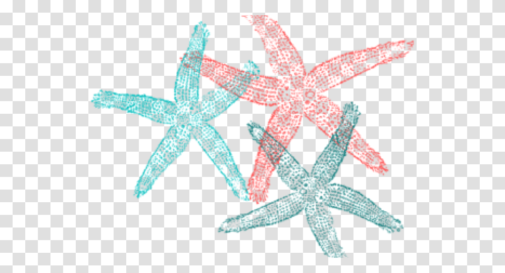 Starfish Clipart Fish Clip Art, Animal, Sea Life, Invertebrate, Star Symbol Transparent Png