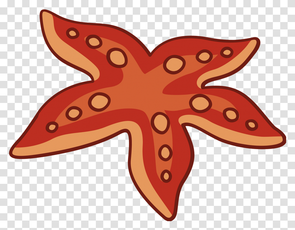Starfish Clipart Free Download Creazilla Lovely, Axe, Tool, Ornament, Pattern Transparent Png