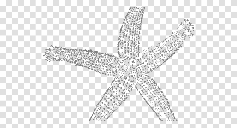 Starfish Clipart Grey Star Fish Cartoon Blue Dark Blue Star Fish, Sea Life, Animal, Cross, Symbol Transparent Png